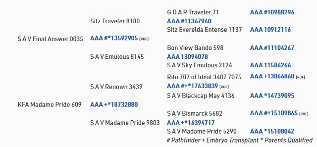 KFA Madame Pride 903 Tree